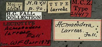 Media type: image;   Entomology 24417 Aspect: labels